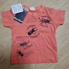 BlueMart☆半袖 昆虫Tシャツ　カブトムシ　クワガタムシ 80サイズ