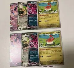 キチキギスex ミュウex イキリンコex シャリタツ　各2枚 匿名発送