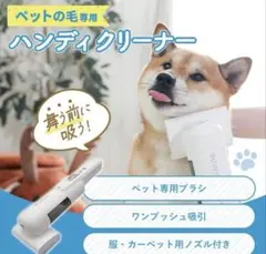 Item thumbnail for item ebeee238-059c-468a-80ac-d7fb4aeaac7c