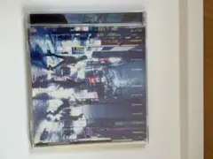 SUPER BEAVER 邦楽 CD