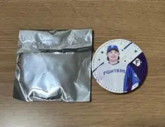 ファイターズ 缶バッジ 田宮