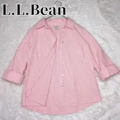 最終価格✨L.L.Bean エルエルビーン シャツ シアサッカー ストライプ 赤