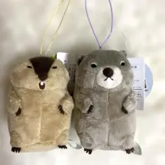 マーモットのもっとっとモア VMC マスコット　2種セット