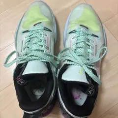 Item thumbnail for item ba949d75-e934-44a5-acde-8653c9832001