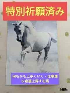 ❤開運 飾るだけで何もかも上手くいく・仕事運＆金運上昇する馬のお写真お守り神社❤
