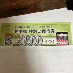 株主様特別ご優待券 4000ポイント