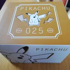 ピカチュウ 025 ボックス　ファミリーランチボックス