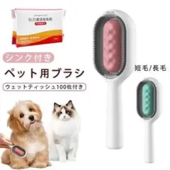 Item thumbnail for item 62699fa5-0d5c-4f15-8121-bcd96e5277fb