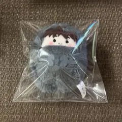 忍たま 土井半助 くるみたぴぬい たぴぬい