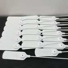 Item thumbnail for item 9e1f179b-15fd-4905-94ab-e045adcb635b