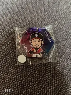 福岡ソフトバンクホークス 杉山一樹投手 アクリルキーホルダー レア
