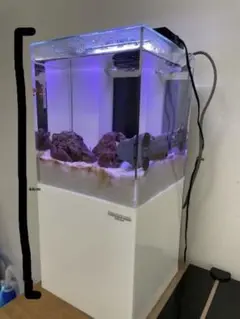 小型オーバーフロー水槽