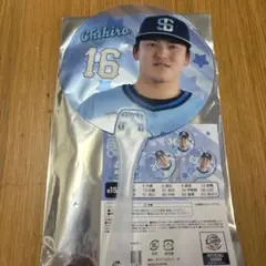 ライオンズ　ミニうちわ　隅田知一郎
