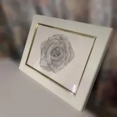 鉛筆画 バラ フレーム付き