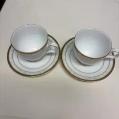 ティーカップ・ソーサー 2個セット　Noritake