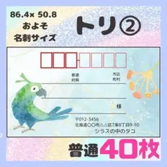 【トリ②】宛名シール　差出人シール　普通サイズ　40枚　シンプル　鳥　インコ