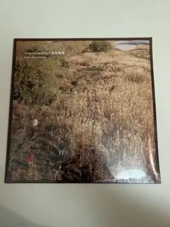 【未開封】Laura day romance「roman candles」 Laura Day Romance – Roman Candles | 憧憬蝋燭 – Vinyl (LP