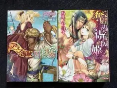 TL小説　栢野すばる　あまおう紅　ティーンズラブ　まとめ売り