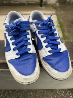 NIKE Dunklow 27cm