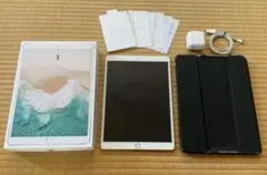 Apple iPadpro 10.5インチ256GB WiFi+Cellular