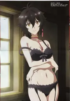 異世界チート魔術師 うちの娘の為ならば、俺はもしかしたら 両面ピンナップポスター