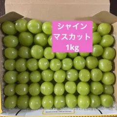 シャインマスカット 一粒カット 1kg