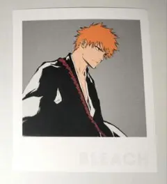BLEACH ブリーチ 黒崎一護 ポートレイト ランドマーク