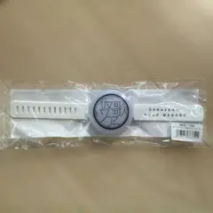 ラバーブレスライト オーイシマサヨシ 仮歌ワンマンツアー 2019 新品未使用