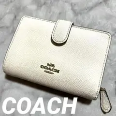 Item thumbnail for item 8c238a5d-5a03-4460-b8cc-16920f06d4a6