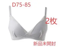 未開封TOLEETY 軽やかカストレスブラジャー グレー D75-85 2枚