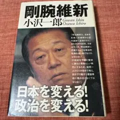 剛腕維新