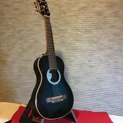 Aria ミニギター ARIA AMB-JRX ARIAアリアAMB-JRXミニアコースティックギター - メルカリ