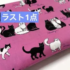 感謝セール！ 生地　ハギレ　ネコ柄　猫の遊び場　ピンク　スケア地