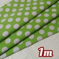 ✽.現品限り✽シンプル可愛い✿水玉模様・・グリーン・シーチング生地1m