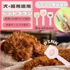 Item thumbnail for item 924d7121-f823-4c33-8e67-567a8d156143
