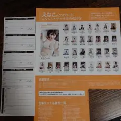 最新号 EX大衆 2025年9月号 抽プレ 懸賞 えなこ乃木坂46 応募用紙4枚
