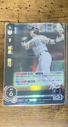 ドリームオーダー　ソフトバンクホークス　城島健司　SP