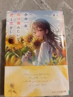 余命一年、向日葵みたいな君と恋をした