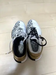 Item thumbnail for item 698f5217-233a-46df-9ba0-cd17086b59c0