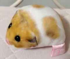 Item thumbnail for item f8b1dd4d-e63f-48ed-b492-51d6372d7348