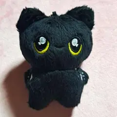 ENHYPEN ジェイ ぬいぐるみ 10cm