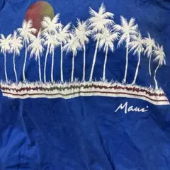 Hanes Beefy-T XL マウイ Tシャツ　旧タグ　ヴィンテージ　青