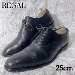 REGAL リーガル 05JR ストレートチップ 内羽根 ブラック 25cm
