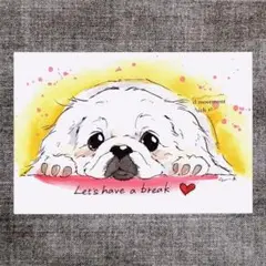 イラスト 原画 ポストカード 絵 【ペキニーズ】124
