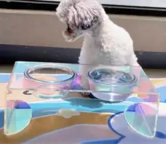 犬猫兼用フードボウル フードボール 餌入れ エサ入れ おやつ ペット