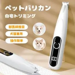 Item thumbnail for item 36e15d0d-16d2-4b56-b4af-17e1f557595b