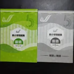 【最新版】 新品 新小学問題集 国語 小5 解答付