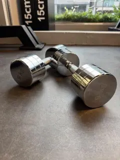 9kg クロームダンベルペア