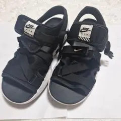 Item thumbnail for item 02049e34-67e9-40de-9994-4fa3fbbf75cc