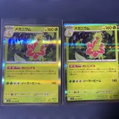 メガニウム★メガシンフォニア　2枚